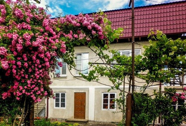 Guest House Anna Sukhumi Eksteriør billede